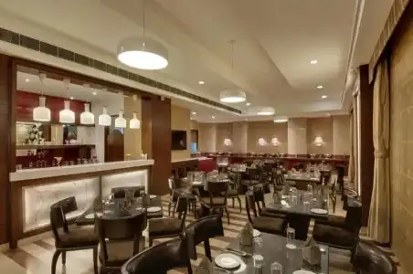 The Golden Palms & Spa Delhi - 16