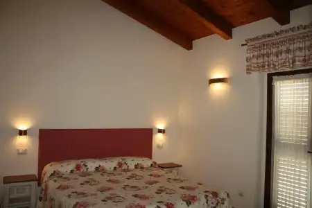 Rosa di Assisi - 2