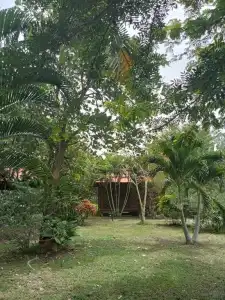 Ban Ban Bangalow - 11