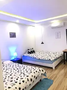 Cat's Hostel - 39