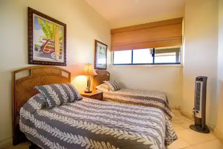 Kapalua Villas Maui - 389