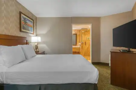 Best Western Seven Seas - 68