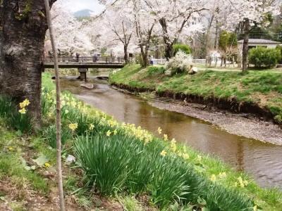 Pension Mori - 3