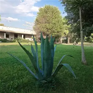 Masseria Le Pajare - 60