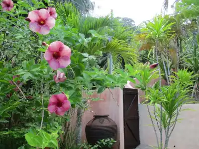 Chalets Bougainville - 67