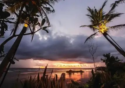 The Postcard Galle - 25