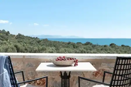 The Olive Yard - 24