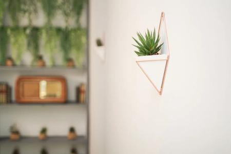 Rudiae Boutique - 27