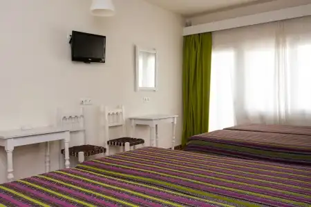 Sol y Miel Hostal - 119