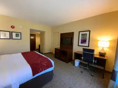 Comfort Suites Fredericksburg North - 48