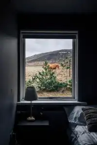 Golden Circle Luxury Cottages - 13