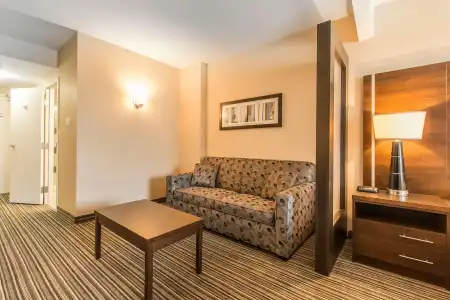 Comfort Suites Downtown - 6