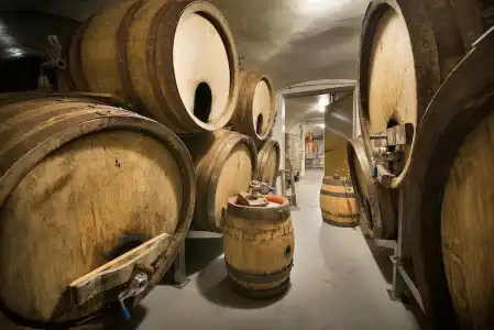 U Medvidku-Brewery - 7