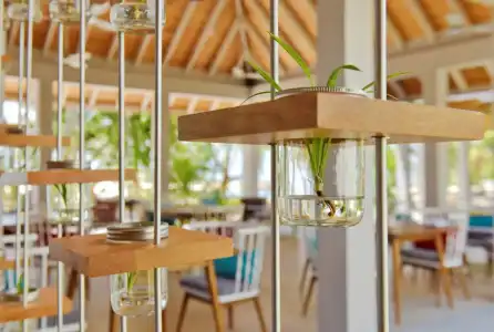 Niva Dhigali Maldives - A Premium All-Inclusive Resort - 23