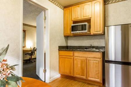 Quality Inn & Suites Silicon Valley - 66