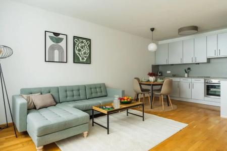Business & Family Ambiente Apartments - 169