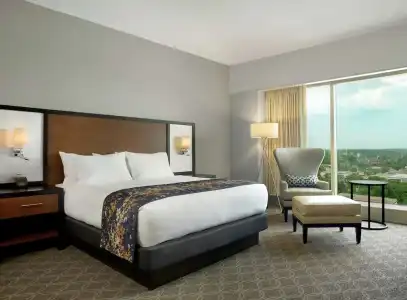 Doubletree by Hilton Cedar Rapids Convention Complex - 41