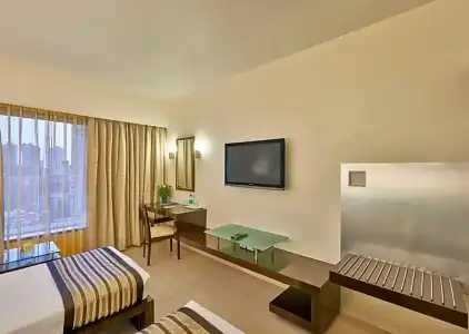Krishna Palace - 33