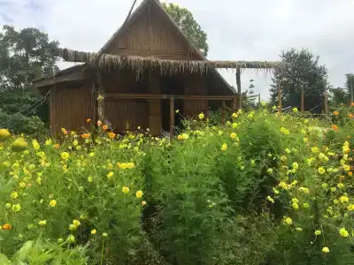 Baan 2 Dao Farmstay - Hostel - 32