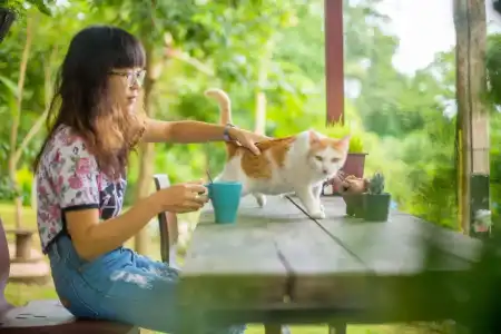 Baan Katisod - 16