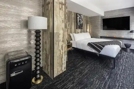 The FIDI - 29