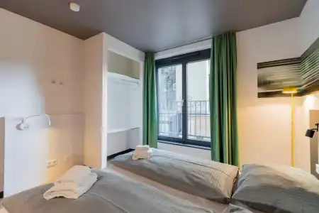 Homaris Kreuzberg 61 - 2