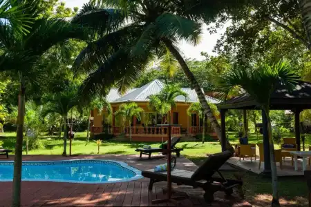 Villas des Alizes Beachfront Suites and Garden Villas - 40
