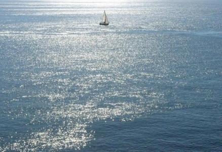 Arrayanes Playa Almuñecar - 14