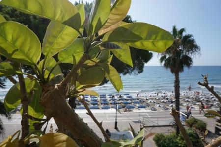 Beau Rivage - 78