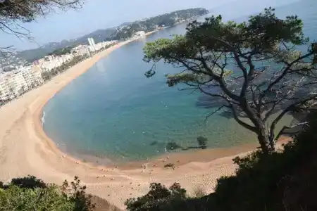 Bella Dolores - 11