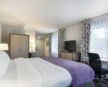 Comfort Inn Williamsburg Gateway - 17