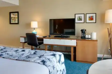 Oasis Waikiki - 42