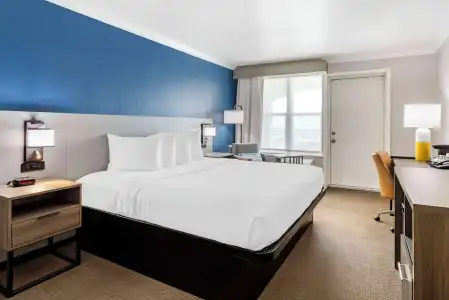 Comfort Inn & Suites Galveston Central Island near Pier - 41