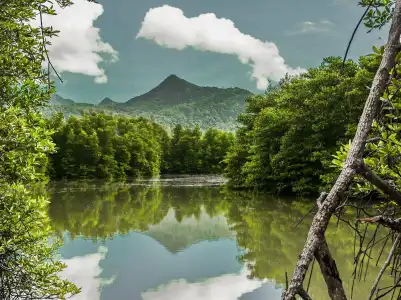 Bhu Tarn Koh Chang Resort and Spa - 18