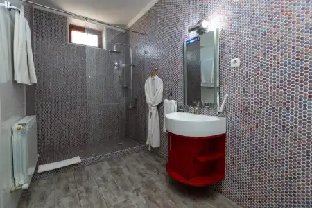 Альтаир - 22