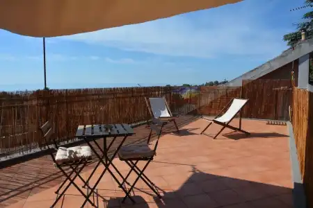 Betulla dell'Etna - 19