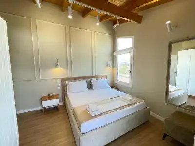 Arial Penthouse Suites - 290