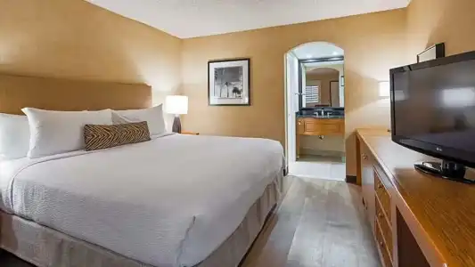 Best Western Plus Las Brisas - 28