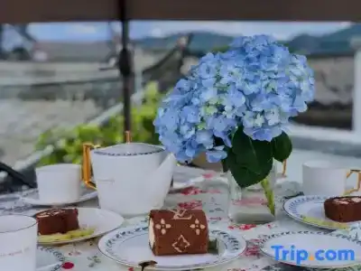 Wonderland - 6