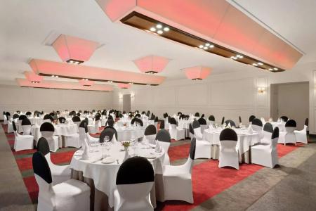 Ramada Plaza by Wyndham Agra - 16