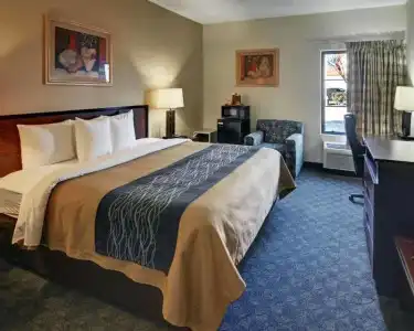 Quality Inn & Suites Irving DFW Airport South - 76