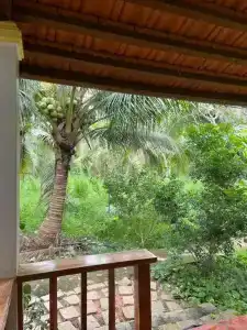 Phu Quoc Pomelo Garden - 53