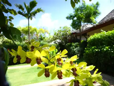 Pai Tan Villas - 16