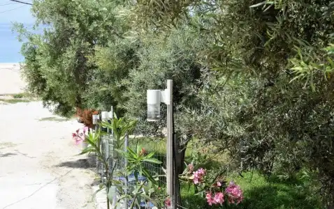 Scala Bungalows - 38