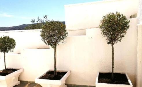 Pefkides Aegina Boutique Apartments - 33