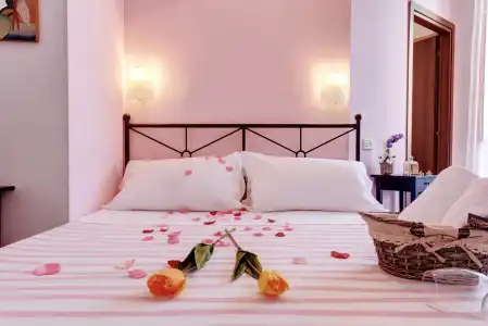 In the Center Guesthouse - 18