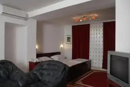 Vila Lux Milikic - 15