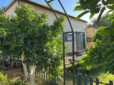 Bodrum Gaia Tiny Houses Butik - 12