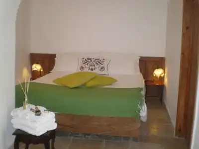 Trullidea  - 2