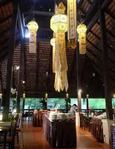 Rainforest Chiangmai - 17